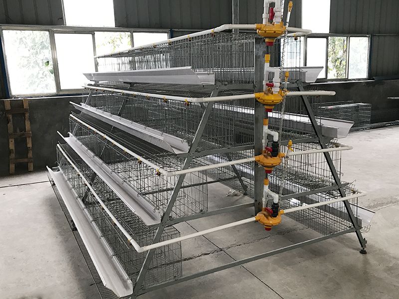 階梯式自動化養殖設備